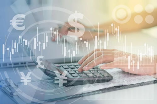 投資管理公司的價(jià)值評(píng)估 核心要素與策略解析